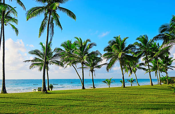 Diani Beach